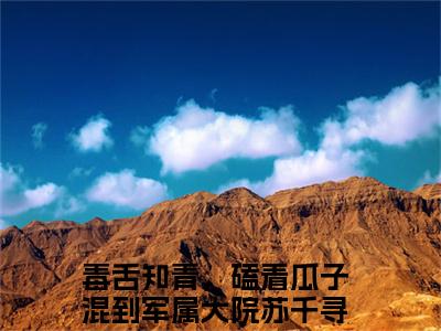 毒舌知青，磕着瓜子混到军属大院苏千寻新上热文小说讲的是什么-毒舌知青，磕着瓜子混到军属大院苏千寻全文完整版免费阅读