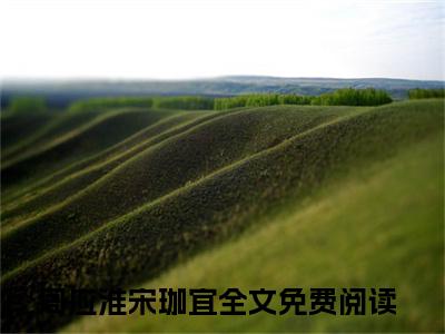 周应淮宋珈宜小说最后结局(周应淮宋珈宜)完结版免费阅读