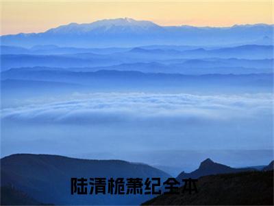 陆清桅萧纪全文免费阅读-（陆清桅萧纪）小说全文免费阅读正版无弹窗