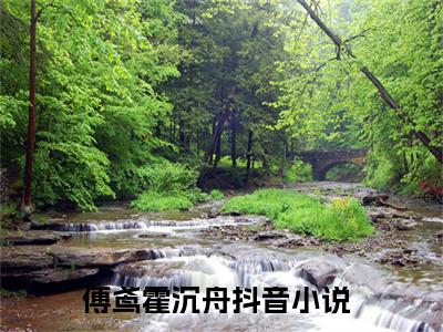 傅鸢霍沉舟小说全文无删减版在线阅读_（傅鸢霍沉舟）小说全文免费阅读_傅鸢霍沉舟最新章节列表_笔趣阁