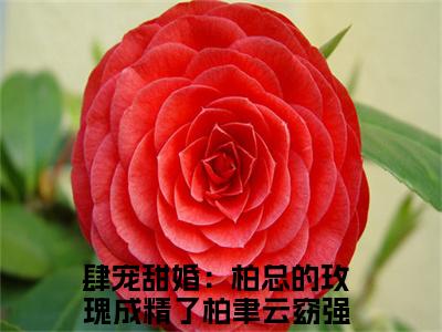肆宠甜婚：柏总的玫瑰成精了柏聿云窈（肆宠甜婚：柏总的玫瑰成精了柏聿云窈）全文小说完整版-（肆宠甜婚：柏总的玫瑰成精了柏聿云窈）肆宠甜婚：柏总的玫瑰成精了柏聿云窈全文无删减免费阅读