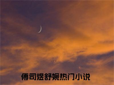 傅司煜舒婉（傅司煜舒婉免费小说）全文免费阅读无弹窗大结局_傅司煜舒婉最新章节列表_笔趣阁（傅司煜舒婉小说）