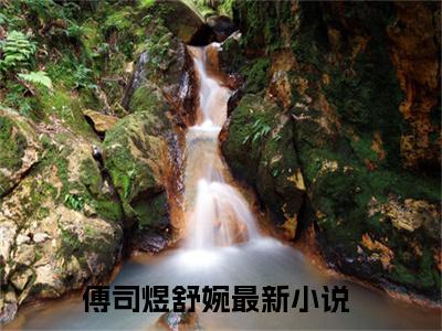 傅司煜舒婉（傅司煜舒婉）全文免费阅读无弹窗大结局_傅司煜舒婉最新章节列表_笔趣阁