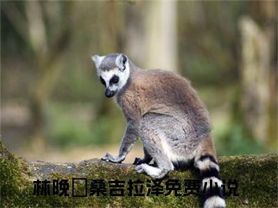 林晚玥桑吉拉泽（林晚玥桑吉拉泽）全文免费阅读无弹窗大结局_林晚玥桑吉拉泽最新章节列表_笔趣阁