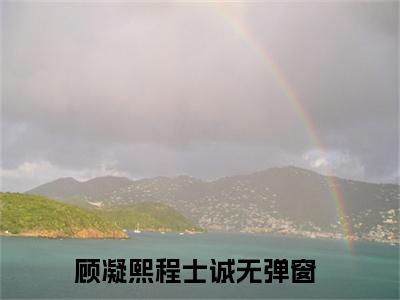 顾凝熙程士诚小说讲的是什么-顾凝熙程士诚精彩章节目录观看