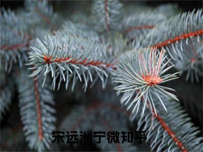 宋远洲宁微宋远洲宁微全文完整版-宋远洲宁微小说在线阅读