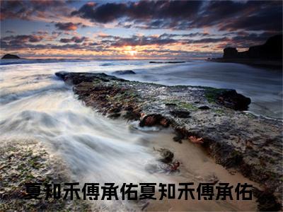 （夏知禾傅承佑）全文免费阅读无弹窗大结局_（夏知禾傅承佑全文免费）夏知禾傅承佑小说最新章节列表_笔趣阁
