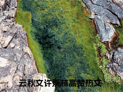 云秋文许羡林全文免费阅读-云秋文许羡林小说（云秋文许羡林）免费阅读全文