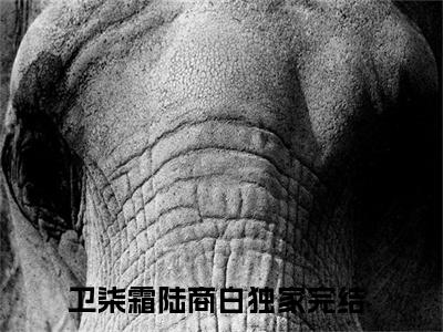 （卫柒霜陆商白推荐免费新书）卫柒霜陆商白完整章节阅读-卫柒霜陆商白全集小说完整版大结局