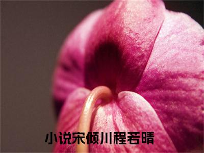 宋倾川程若晴是什么小说-（宋倾川程若晴）小说宋倾川程若晴全文阅读