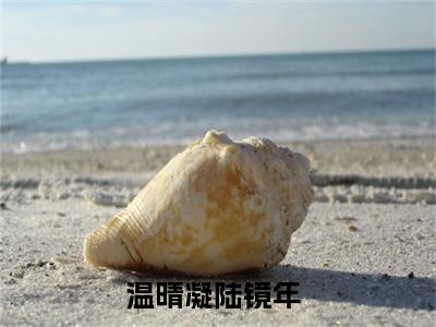 温晴凝陆镜年抖音热推新书小说全文阅读 （温晴凝陆镜年）全文免费阅读大结局