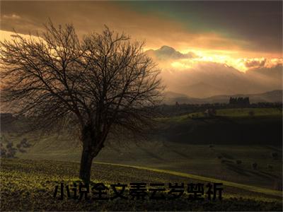 秦云岁楚祈在线阅读（秦云岁楚祈）全文免费阅读无弹窗大结局_秦云岁楚祈免费最新章节列表_笔趣阁