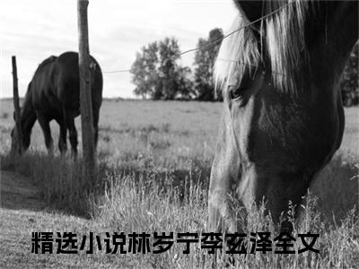 林岁宁李玄泽（林岁宁李玄泽免费小说）全文免费阅读无弹窗大结局_林岁宁李玄泽免费小说最新章节列表_笔趣阁