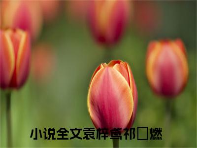 主角为袁梓鸢祁婓燃的小说（袁梓鸢祁婓燃）无弹窗大结局-袁梓鸢祁婓燃最新小说全文阅读最新章节列表_笔趣阁