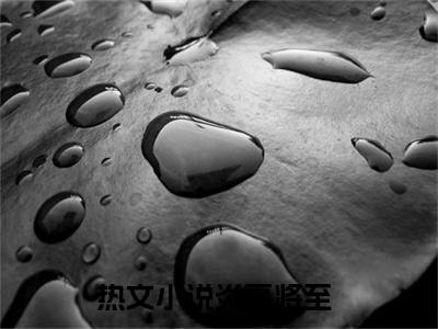 炎夏将至全文免费阅读大结局-辛夏倪殊结局免费阅读