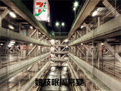 魏枝眠周京宴小说免费阅读全文（魏枝眠周京宴）全文免费阅读无弹窗大结局_要命！被京圈太子爷强取豪夺最新章节列表