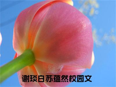 谢琰白苏蕴然（谢琰白苏蕴然）全文免费阅读无弹窗大结局_谢琰白苏蕴然热门小说最新章节阅读