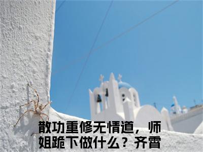 散功重修无情道，师姐跪下做什么？齐霄小说全文在线赏析 散功重修无情道，师姐跪下做什么？齐霄小说免费阅读全文大结局