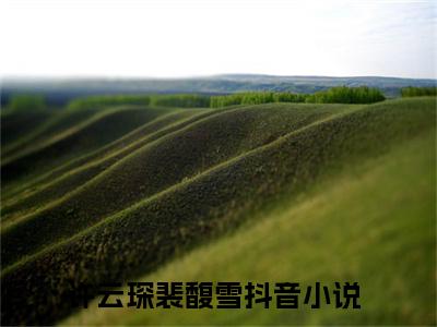 许云琛裴馥雪（林深不知云海小说）全文免费阅读无弹窗大结局_林深不知云海小说最新章节列表