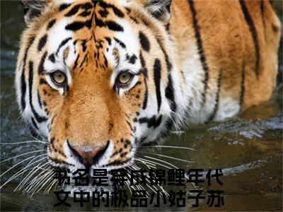 (番外)+(全文)穿成锦鲤年代文中的极品小姑子苏淼淼全文+番外小说免费下载阅读穿成锦鲤年代文中的极品小姑子苏淼淼全文+番外小说最新章节列表_笔趣阁（穿成锦鲤年代文中的极品小姑子苏淼淼全文+番外）