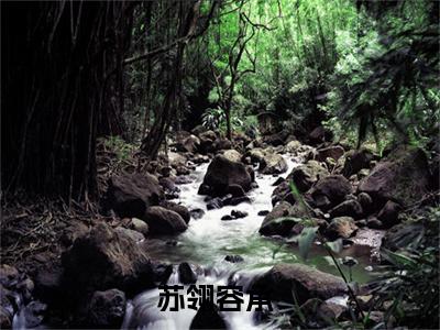苏翎容承（苏翎容承小说）全文免费阅读无弹窗大结局_（苏翎容承）苏翎容承最新章节列表笔趣阁（苏翎容承）