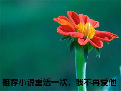 秦时张悦最新热门小说-（重活一次，我不再爱他）最新章节免费阅读