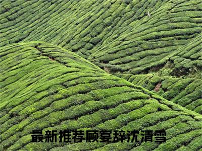 主角是顾宴辞沈清雪的小说叫什么名字顾宴辞沈清雪-老书虫书荒推荐热点小说（顾宴辞沈清雪）