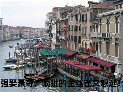 强娶豪夺，疯批的金丝雀又想逃！全文免费阅读无弹窗大结局-强娶豪夺，疯批的金丝雀又想逃！墨君绝南若烟全文全章节免费阅读