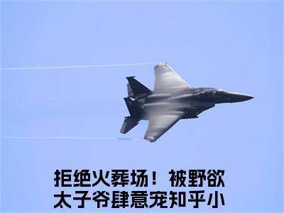 沈肆顾妄（拒绝火葬场！被野欲太子爷肆意宠小说）全文在线阅读无弹窗大结局_（拒绝火葬场！被野欲太子爷肆意宠小说）沈肆顾妄在线阅读无弹窗最新章节列表