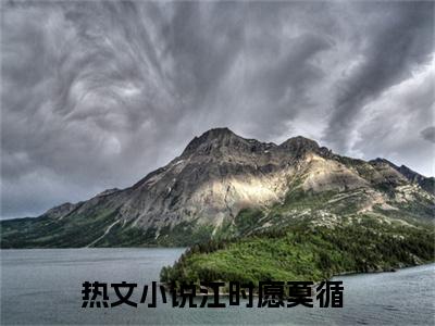 江时愿莫循（江时愿莫循最新全章节大结局）全文阅读-江时愿莫循在线小说免费阅读