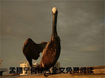 孟穗宁何律言小说完整版阅读-（孟穗宁何律言）小说全文免费阅读