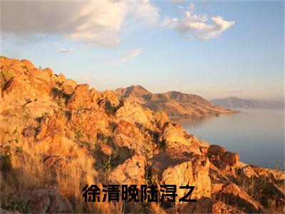 （徐清晚陆浔之）徐清晚陆浔之小说全文免费徐清晚陆浔之读最新章节列表笔趣阁（徐清晚陆浔之