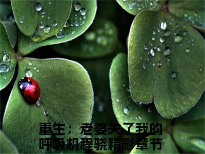 重生：老婆关了我的呼吸机程骁小说（重生：老婆关了我的呼吸机程骁）全文免费阅读无弹窗大结局_重生：老婆关了我的呼吸机程骁小说无弹窗精彩阅读_笔趣阁