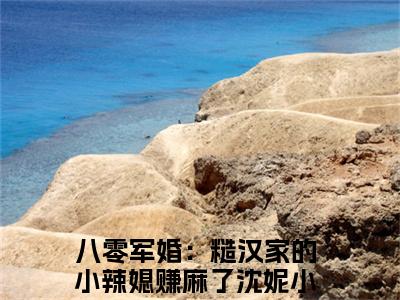 八零军婚：糙汉家的小辣媳赚麻了沈妮小说（八零军婚：糙汉家的小辣媳赚麻了沈妮）全文免费阅读无弹窗大结局_八零军婚：糙汉家的小辣媳赚麻了沈妮最新章节在线阅读_笔趣阁