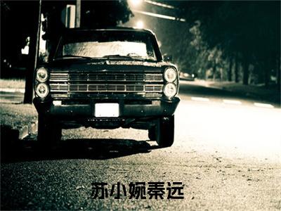 苏小婉秦远（八零嫁糙汉，神棍女配又疯又颠）全文免费阅读无弹窗大结局_（苏小婉秦远阅读全文大结局）八零嫁糙汉，神棍女配又疯又颠最新章节列表