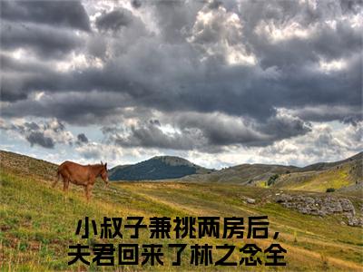 小叔子兼祧两房后，夫君回来了林之念小说全文阅读-（小叔子兼祧两房后，夫君回来了林之念）小说全文免费阅读无弹窗大结局