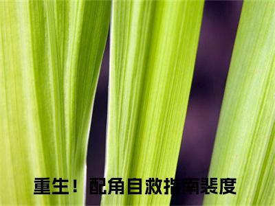 重生！配角自救指南裴度小说全文-（重生！配角自救指南裴度）精选小说大结局阅读