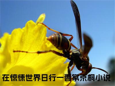 在惊悚世界日行一善常京桐美文欣赏完整版 在惊悚世界日行一善常京桐免费全本小说