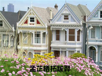 孟芷栖拓跋羿小说叫什么名字（孟芷栖拓跋羿）完整版大结局-孟芷栖拓跋羿小说在线阅读