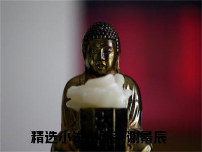 楼雨茉谢景辰全文+后续（楼雨茉谢景辰）全文免费阅读无弹窗大结局_（楼雨茉谢景辰全文+后续免费阅读无弹窗）楼雨茉谢景辰全文+后续最新章节列表_笔趣阁（楼雨茉谢景辰）