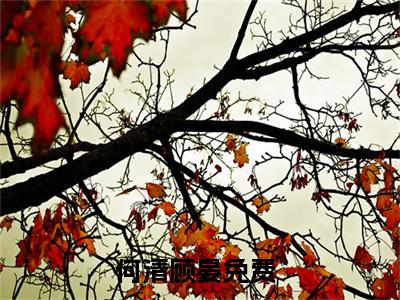 何清顾晏（何清顾晏免费阅读无弹窗）-何清顾晏最新章节列表何清顾晏全文无删减版