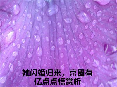 她闪婚归来，京圈有亿点点慌小说免费（唐歆）全文免费阅读无弹窗-唐歆小说全文免费阅读最新章节列表