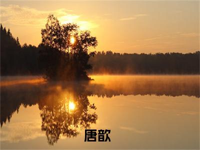 她闪婚归来，京圈有亿点点慌全文（唐歆）小说免费阅读无弹窗大结局_她闪婚归来，京圈有亿点点慌全文无弹窗完整版阅读