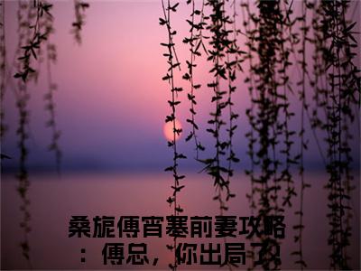 （热推新书）《桑旎傅宵寒》前妻攻略：傅总，你出局了！无弹窗阅读_桑旎傅宵寒最新章节列表_笔趣阁