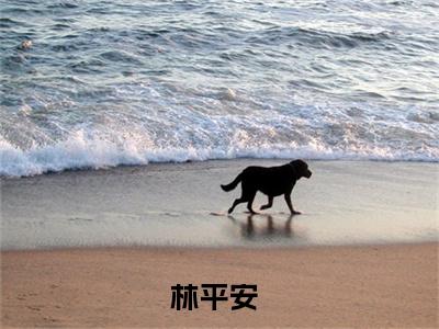 （热推新书）《妙医狂龙》林平安无弹窗阅读_妙医狂龙最新章节列表_笔趣阁