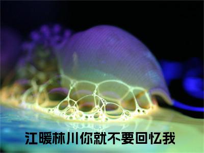 江暖林川（你就不要回忆我）全文免费阅读_（你就不要回忆我）最新章节列表笔趣阁（你就不要回忆我）
