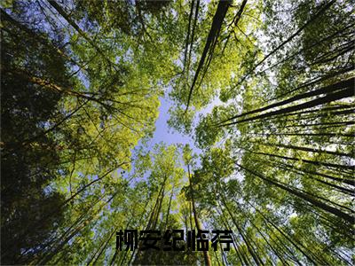 柳安纪临荇今日阅读更新-（柳安纪临荇）全文免费阅读-柳安纪临荇