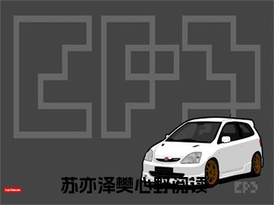 苏亦泽樊心野高赞小说完结阅读（苏亦泽樊心野全文免费阅读）_苏亦泽樊心野全文免费阅读