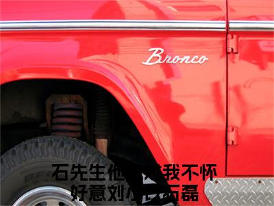 小说（石先生他总对我不怀好意）刘小以石磊全文免费阅读无弹窗-刘小以石磊小说全文在线赏析（今日更新最新章节）