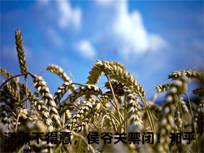 苏景意楚漾（漾漾不得意，侯爷关禁闭！）高质量小说免费阅读-主角是苏景意楚漾的小说叫什么名字（漾漾不得意，侯爷关禁闭！）